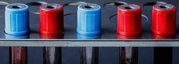 Воздушные и масляные фильтры: сравнение типов и важность своевременной замены